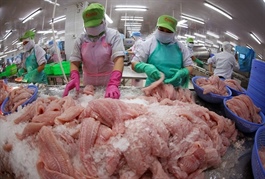 VCCI and VASEP urge businesses to address US trade risks