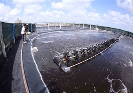 By-product goldmine opens doors for fisheries sector