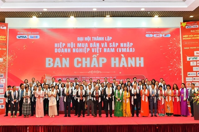 New M&A association launched as Việt Nam pushes corporate restructuring