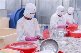 Seafood exports poised to rise by $1 billion this year