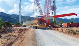 Rapid growth needed for energy ecosystem