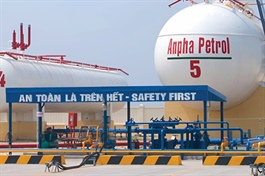 Anpha Petrol nói gì sau khi cổ phiếu tăng trần 5 phiên liền?