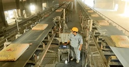 CLH chốt quyền nhận cổ tức tiền mặt 25%