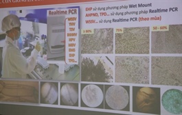 Experts seek solutions to control shrimp diseases under changing conditions