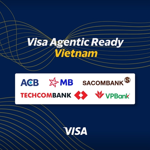 Visa links with banks to boost payments ecosystem