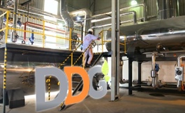 Sau 3 năm thua lỗ, DDG tiếp tục báo lỗ quý 1, đối diện nguy cơ hủy niêm yết