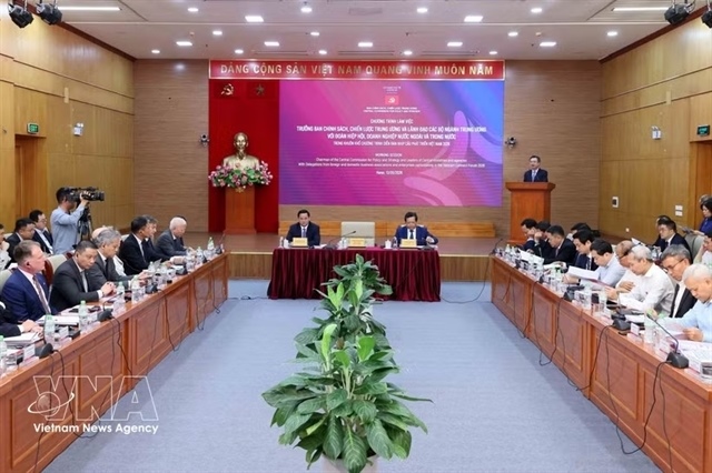 Session highlights synergy promotion for FDI, domestic enterprises