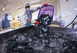 US announces preliminary anti-dumping results on shrimp