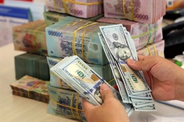 Đồng USD phục hồi mạnh mẽ