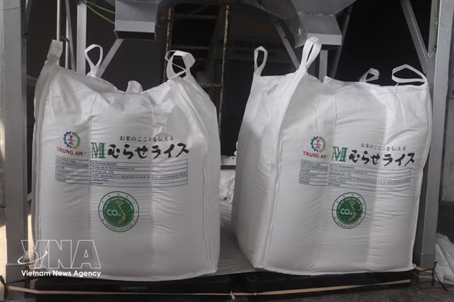 70,000 tonnes of rice granted “Low-emission Green Vietnamese Rice” label