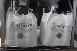 70,000 tonnes of rice granted “Low-emission Green Vietnamese Rice” label
