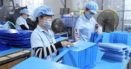 TPHCM dẫn đầu cả nước về Chỉ số hiệu quả kinh tế tư nhân