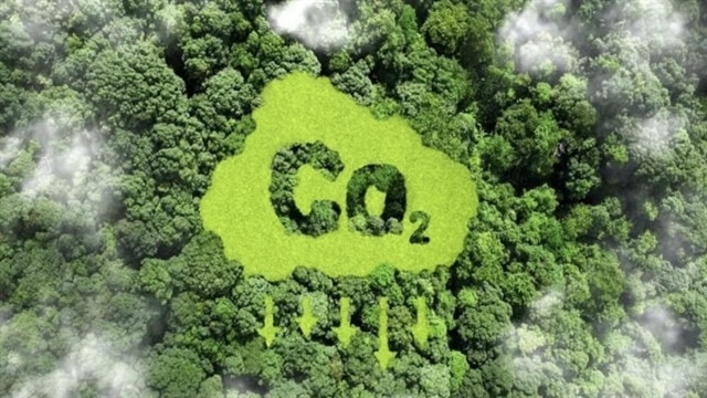 Ministry establishes monitoring framework for carbon market