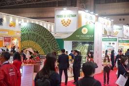 PAN Group to issue nearly 41.8 million bonus shares