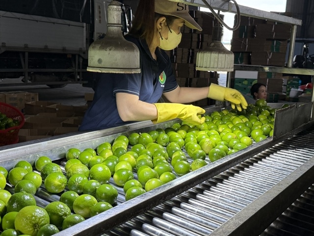 Việt Nam’s pomelos and lemons gain official export access to China