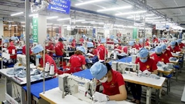 Bức tranh ngành dệt may phân hóa trong bối cảnh áp lực chi phí đầu vào gia tăng