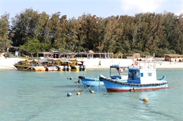 Phú Quý special zone leverages tourism, fisheries for sustainable development