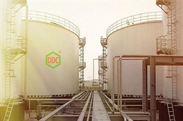 DGC bị hạn chế giao dịch