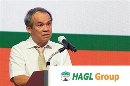 Bầu Đức tiếp tục đăng ký mua cổ phiếu HAG để tăng sở hữu
