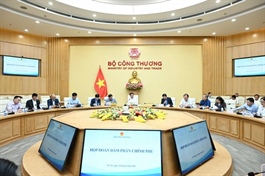 Government negotiation delegation for international economic and trade affairs established