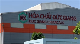 Cổ phiếu DGC vẫn được giao dịch cả ngày