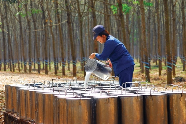 Rubber sector gains momentum from commodity rally and industrial land windfall (translated)