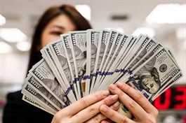 USD tiếp tục tăng nhẹ