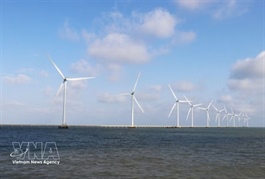 Energy sector seen as key pillar for Việt Nam’s green, double-digit growth ambitions