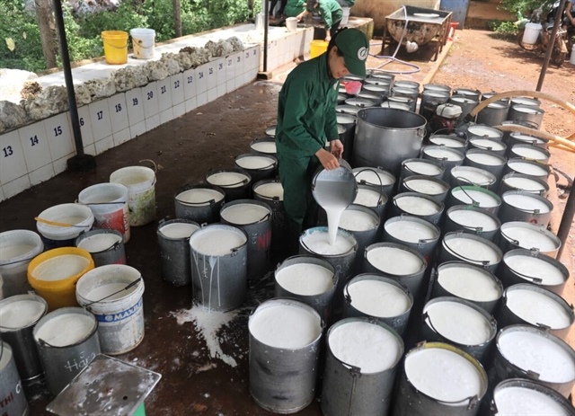Rubber stocks rally as natural rubber prices hit nine-year high