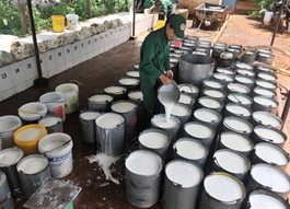 Rubber stocks rally as natural rubber prices hit nine-year high