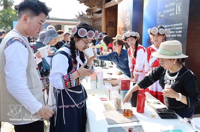 Việt Nam, China strengthen coffee cooperation, opening new opportunities in Yunnan