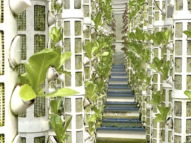 Agriculture business rating programme launched to improve access to finance