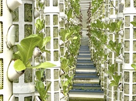 Agriculture business rating programme launched to improve access to finance