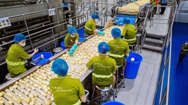 Ninh Bình draws next-wave foreign direct investment