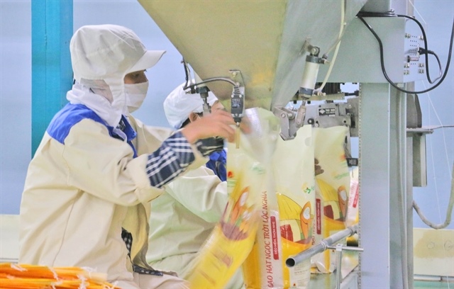 South America still offers room for Vietnamese exports amid global uncertainty