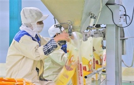 South America still offers room for Vietnamese exports amid global uncertainty