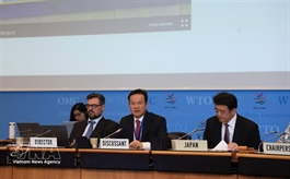 Việt Nam attends Japan’s WTO Trade Policy Review session