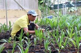 Việt Nam launches national programme to help firms meet global green standards