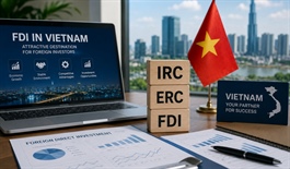 Which investing structure should foreign investors choose?