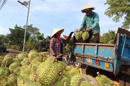 Agriculture exports up 9% in Jan-May, surplus hits US$8.4 billion