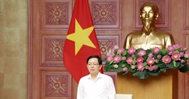Phó Thủ tướng: Nghiên cứu mức xử phạt hành vi xâm phạm quyền sở hữu trí tuệ bảo đảm tính răn đe