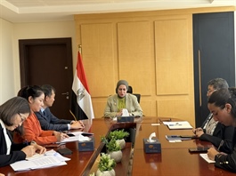 Việt Nam, Egypt step up implementation of comprehensive partnership