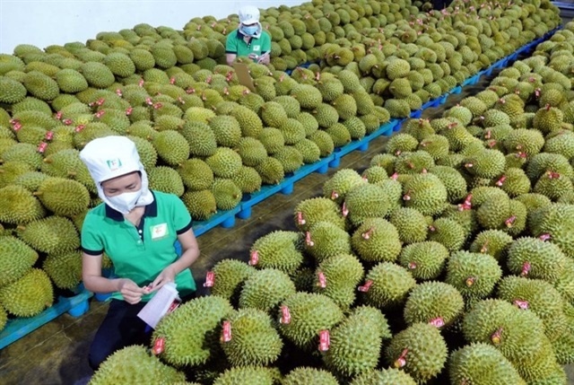 Vietnam's agro-forestry-aquatic exports soar in first five months