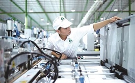 Tập đoàn An Phát muốn gom 6 triệu cp AAA