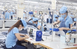 Dệt may Hòa Thọ lần đầu chia cổ tức cổ phiếu sau 3 năm