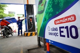 Kiến nghị tăng cường kiểm tra chất lượng xăng sinh học E10