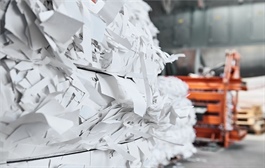 Nhóm doanh nghiệp gỗ và giấy trên sàn kinh doanh ra sao?