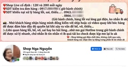Bán hàng online doanh thu 35 tỷ đồng, nữ chủ shop bị khởi tố vì trốn thuế