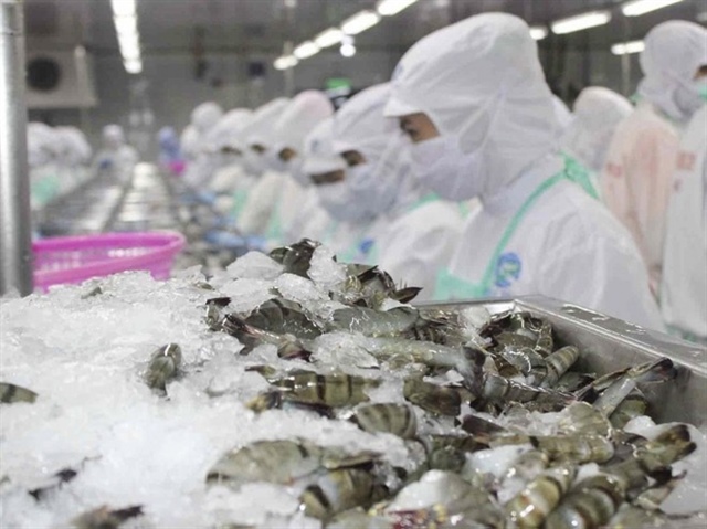 Seafood exporters deliver strong Q1 though challenges persist
