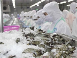 Seafood exporters deliver strong Q1 though challenges persist